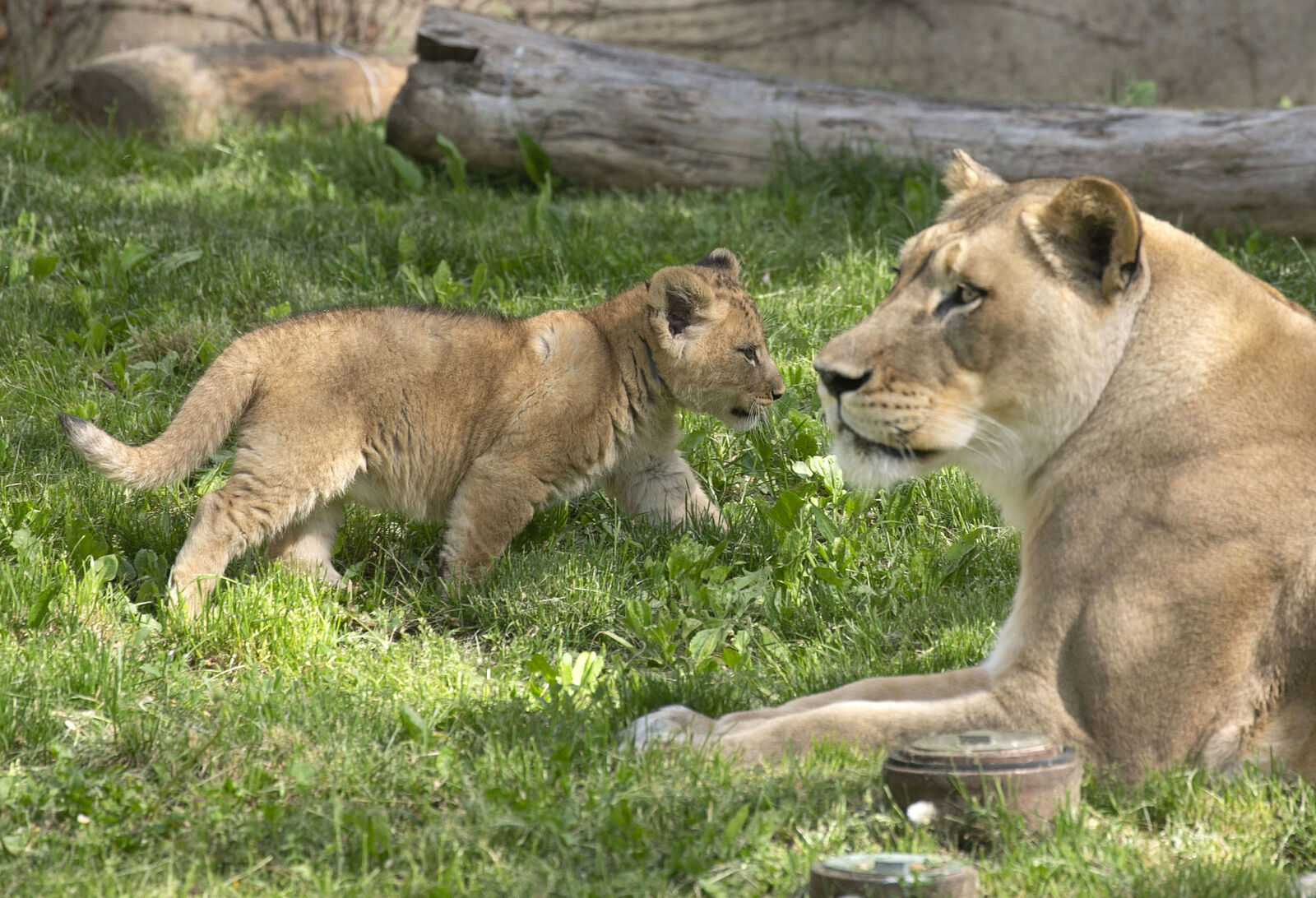Baby and Momma